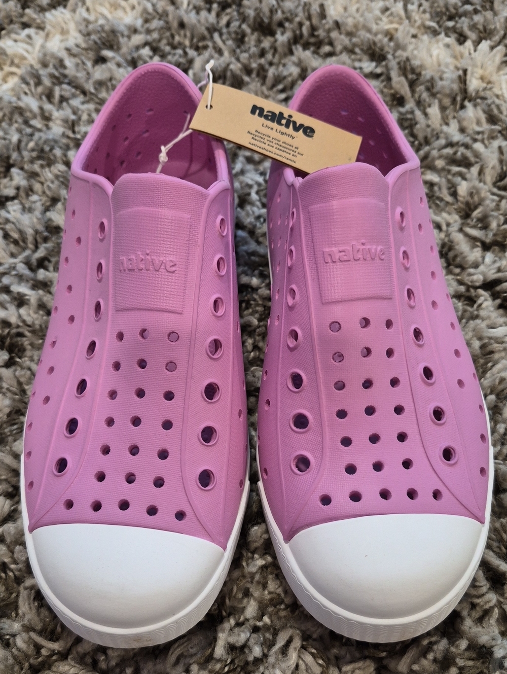 Native Jefferson Shoes In Winterberry Pink